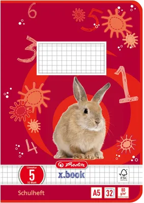 Image de herlitz cahier scolaire x.book, DIN A5, linéature 5 / quadrillé