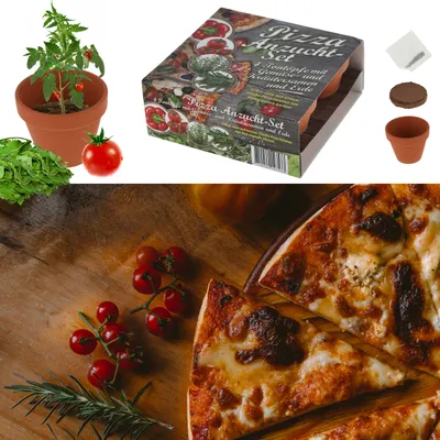 Produktbild von Anzuchttöpfe 'Pizza' 4er Set Tontöpfe Samen Kokosquellpad Pizzakräuter Basilikum Tomate Oregano Rucola