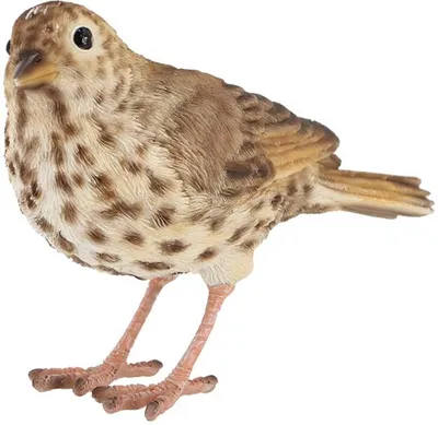 Image de Oiseau décoratif d'extérieur en polyrésine Grive musicienne