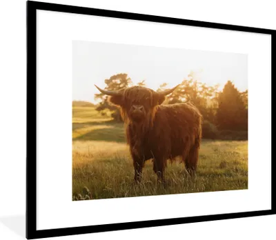 Produktbild von MuchoWow® Gerahmtes Poster Schottischer Hochländer - Gras - Sonne 80x60 cm - Poster mit Schwarzem Bilderrahmen Wandposter Rahmen Foto Bilder - Schlafzimmer-Dekorationen - Fotoposter