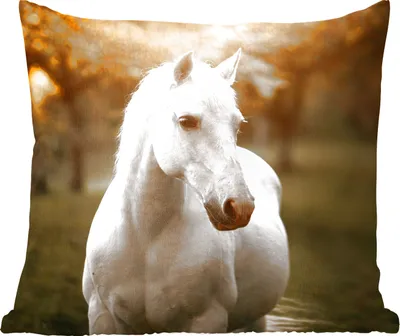 Produktbild von MuchoWow® Zierkissen Sofakissen Wohnzimmer Dekokissen 50x50 cm Pferd - Sonne - Herbst - Tiere - Natur - Komfort - Sofakissen