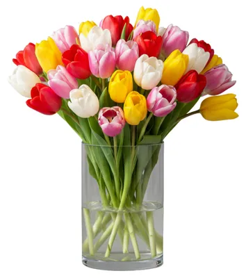 Produktbild von Vase - transparent - 15 x 12 cm - Glas - Zylinderform - Vasen - Blumenvase