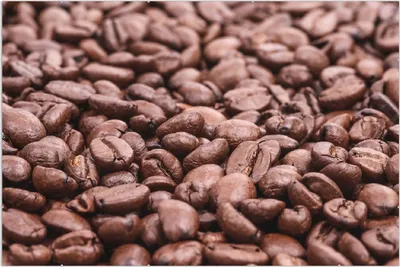 Produktbild von Wallario Wandbild Frisch geröstete Kaffeebohnen, Größe: 61 x 91,5 cm, Poster mit rahmenlosen Bildhalter