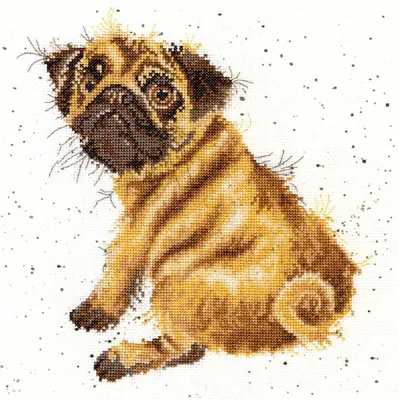 Produktbild von Auslaufmodell Bothy Threads Kreuzstich-Set "Mops", 26x26cm, XHD11, Zählmuster