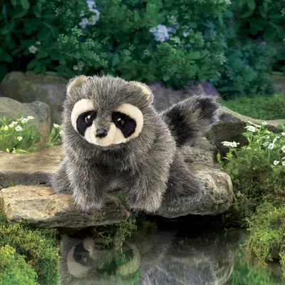 Produktbild von Folkmanis Raccoon, Handpuppe, Tier, 1 Stück(e)
