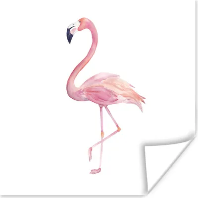 Produktbild von MuchoWow® Poster Flamingo - Federn - Rosa 50x50 cm - Wohnzimmerdekoration