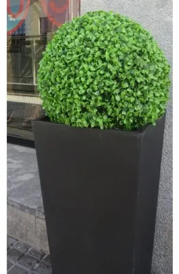 Produktbild von Dekorative Kugel Aus Buxbaum 28 Cm