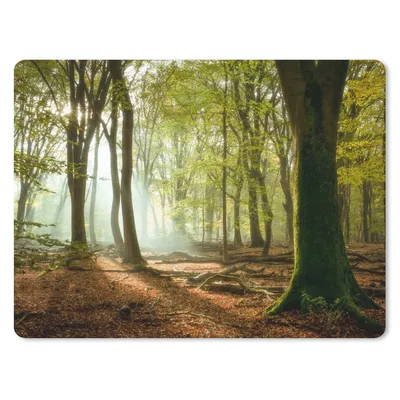 Produktbild von MuchoWow® Mauspad Mousepad Wald - Sonne - Jahreszeiten - Landschaft 23x19 cm - Mousepads - Maus Mat - Pad - Mausunterlage - Schreibtischunterlage - Mauspad