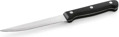 Obrázek produktu pro Nůž na steaky/pizzu 21 cm, nerezová ocel, plast
