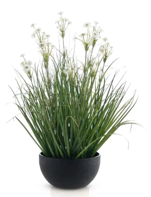 Produktbild von Meisterhome® Ziergras Kunstpflanze 56 cm – Künstliche Zimmerpflanze – Realistisches Ziergras – Dekorative Kunstpflanze pflegeleicht mit Topf