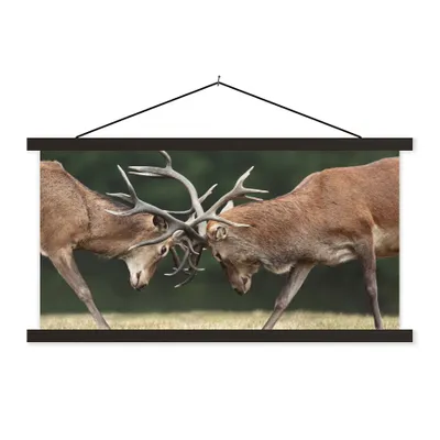 Produktbild von MuchoWow® Textilposter Hirsche - Geweihe - Kämpfen 60x30 cm mit schwarzem Rahmen - Textilien