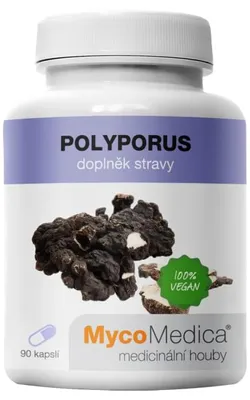 Obrázek produktu pro MycoMedica Polyporus 90 kapslí