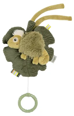 Image de Boîte à musique Caméléon