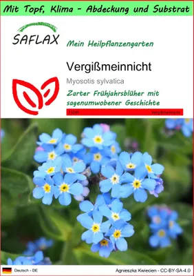 Produktbild von SAFLAX Garden to go - Vergißmeinnicht - Myosotis sylvatica - 150 Samen - Mit Topf, Klima - Deckel und Anzuchtsubstrat
