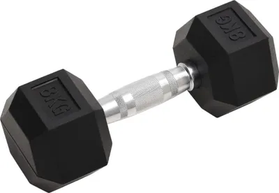 Obrázek produktu pro vidaXL Činky 2 ks 16 kg celkem litina
