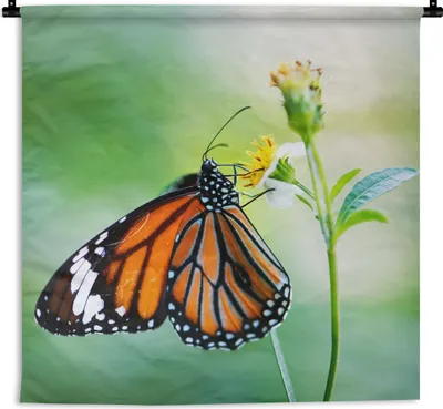 Produktbild von MuchoWow® Wandteppich Wandbehang Schmetterling - Blumen - Insekten 60x60 cm Tapisserie Dekoration Wandtuch - Dekorationen - Wand Decke