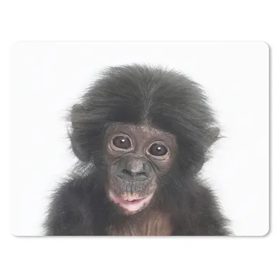Produktbild von MuchoWow® Mauspad Mousepad Affe - Tiere - Natur - Schimpanse 23x19 cm - Mousepads - Maus Mat - Pad - Mausunterlage - Schreibtischunterlage - Mauspad