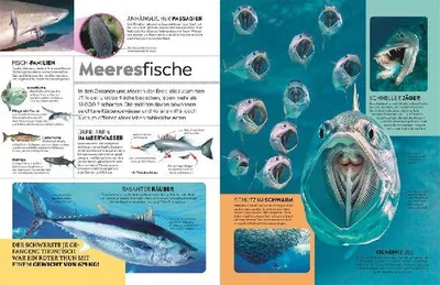 Produktbild von memo Wissen. Tiere