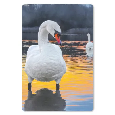 Produktbild von MuchoWow® Mauspad Mousepad Schwan - Vogel - Sonnenuntergang - Wasser 40x60 cm - Mousepads - Maus Mat - Pad - Mausunterlage - Schreibtisch Accesoire