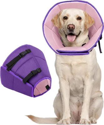 Image de Collier Kuoser pour chien Protection contre les fuites Collier de protection réglable Violet