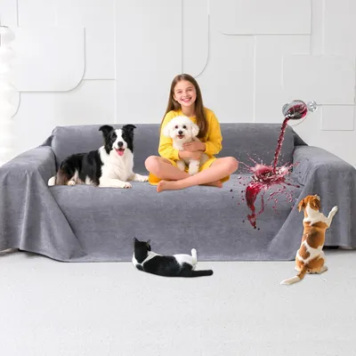 Image de Housse de canapé 100% imperméable antidérapante 150x71 cm pour animaux