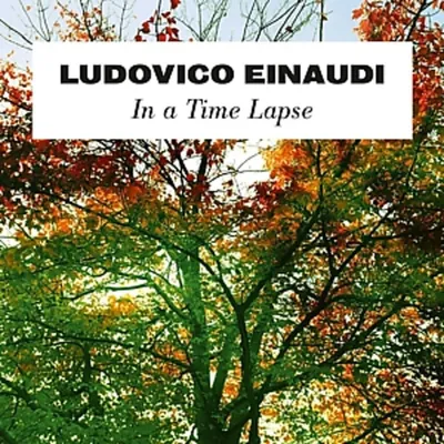 Obrázek produktu pro Ludovico Einaudi - In A Time Lapse (2 LP)