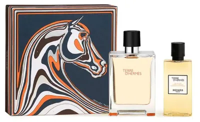 Zdjęcie produktu dla Hermes Terre D'Hermes Geschenkset Woda toaletowa 100 ml/żel pod prysznic 80 ml
