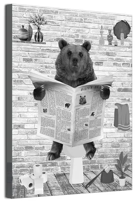 Tier-Poster ohne Rahmen, Bär auf Toilette, 50x70 cm