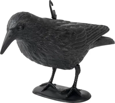 Produktbild von Gardigo Vogelabwehr Krähe schwarz