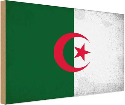 Produktbild von vianmo Holzschild 30x40 cm Algerien Algeria Flagge Fahne Wappen