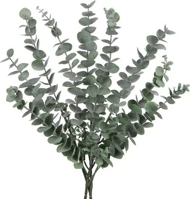 Productafbeelding van Kunststof eucalyptusbladeren voor decoratie