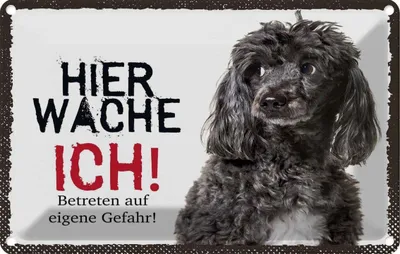 Produktbild von vianmo Blechschild 20x30 cm Pudel hier wache ich eigene Gefahr Hund