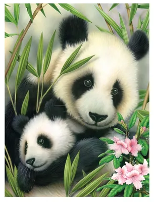 Obrázek produktu pro Malování podle čísel Obrázek Junior 33x24cm Panda