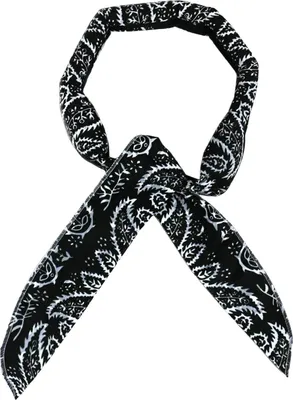 Produktbild von Kühlendes Halstuch für den Sommer, bedrucktes Eishandtuch, schnell kühlendes Kopftuch, Bandana, kühl haltendes Stirnband für Fitnessstudio, Golf, Yoga