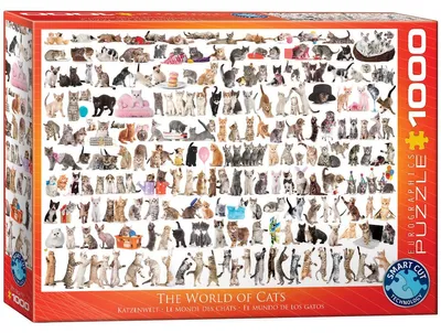 Produktbild von EUROGRAPHICS Puzzle World of Cats 1000 Teile