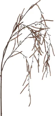 Image de Produits de jardin