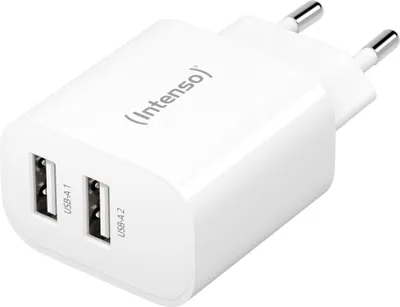 A white Intenso power adapter with two USB-A ports.