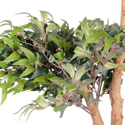 Produktbild von UNUS Kunstpflanze künstlicher Ficus mit Echtholzstamm 120 cm