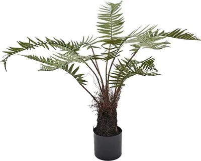 Produktbild von Farn im Topf, grün, 100 cm, Kunstpflanze Buitengewoon de Boet