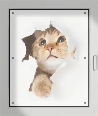 Produktbild von Wallario Lichtschutzbild, Dekorativer Sichtschutz Sonnenschutz 76 x 93 cm mit Motiv: Katze mit Blick nach oben - Verdunklung ohne Bohren