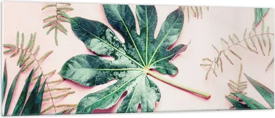 Produktbild von Bilder auf glas - Einteilig - Blatt Tropisch Palme - 140x50cm - Glasbilder - Wandbilder - Bilder - zum Aufhängen bereit - Wanddekoration aus Glas - Glas Bilder - Wandbild auf Glas - GAB140x50-4314