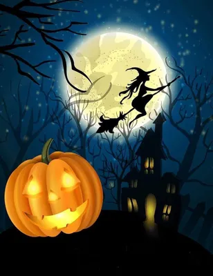 5D Diamantmalerei DIY Vollbohrer, Halloween Hexe, 30x40cm