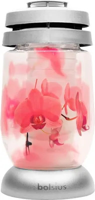 Zdjęcie produktu dla Bolsius Glass 23cm depozyt 120g 36h. Orchidea
