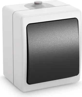 Immagine prodotto di ABSINA Interruttore esterno per locali umidi - Interruttore esterno a 1 canale IP54, 250V, 10A - Interruttore esterno per locali umidi
