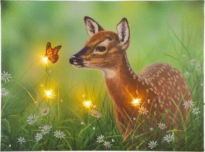 Zdjęcie produktu dla Podświetlany obraz - jeleń na łące, 4 diody LED, 30 x 40 cm