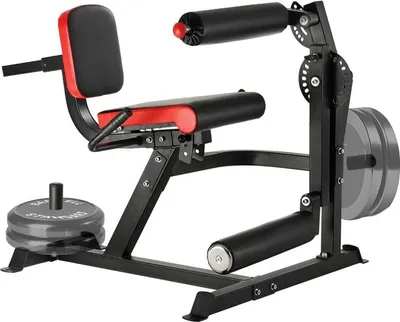 Image de Machine à curl pour extension des jambes - entraînement du bas du corps - banc d'entraînement des jambes pour la salle de sport