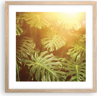 Produktbild von Gerahmtes Poster - Rahmen in heller Eiche - Blätter Monstera Licht - 40x40 cm - Wand Bild - Wanddeko - Wandbilder - Kunstposter - Wandposter - Bilderrahmen - Bilder - Kunstdruck - P2NAC40x40-4540