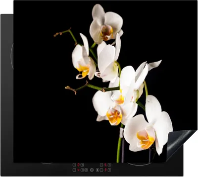 Produktbild von KitchenYeah© Herdabdeckplatte Orchidee - Blumen - Pflanzen - Botanisch , 59x52cm, Küche Deko, Glaskeramikkochfeld Herdabdeckung, Abdeckplatte fùr Kochfeld