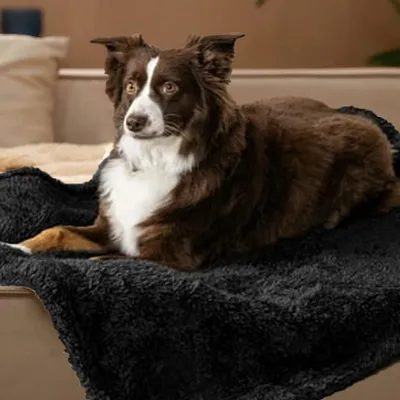 Produktbild von Hundedecke wasserdicht weich 80x100cm Kratzfest & Waschbar