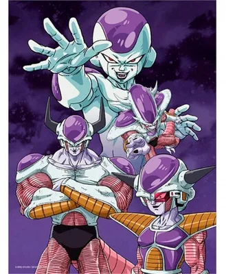 Immagine prodotto di SD TOYS - Szklany Plakat Frieza Transformacje z Dragon Ball Z - Akcesorium dla Fanów